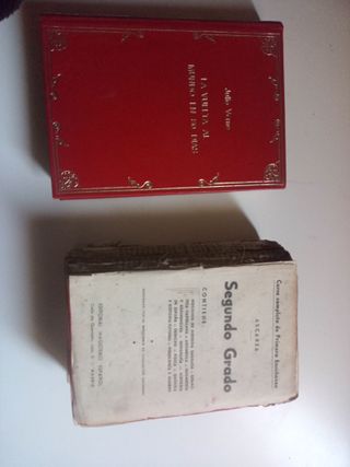 Lote de libros escolares 2