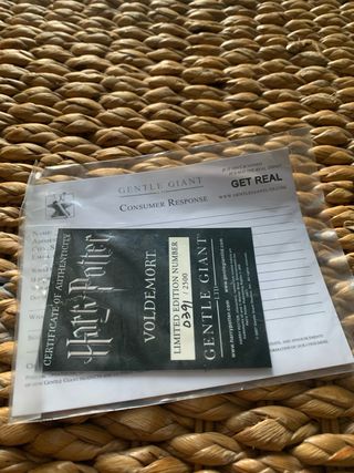 Busto Lord Voldemort