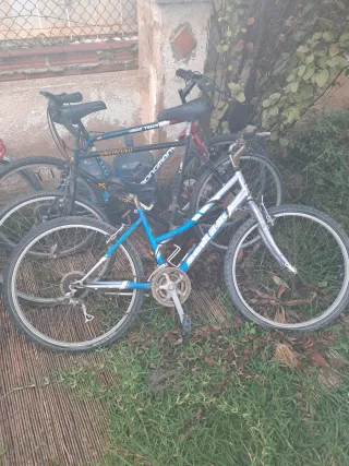 Lote de 7 Bicicleta  en buen estado