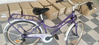 Bicicleta morada