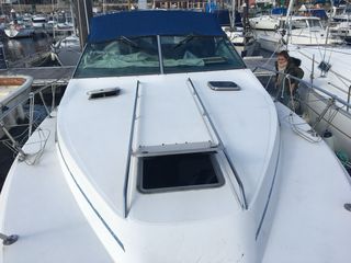 Embarcación a motor Sea Ray 300 Weekender