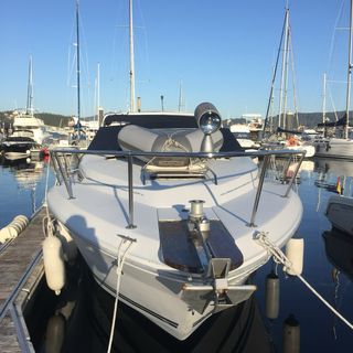 Embarcación a motor Sea Ray 300 Weekender
