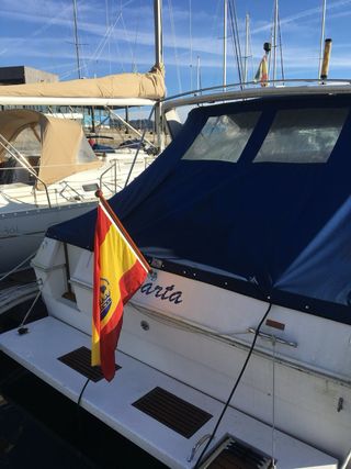 Embarcación a motor Sea Ray 300 Weekender