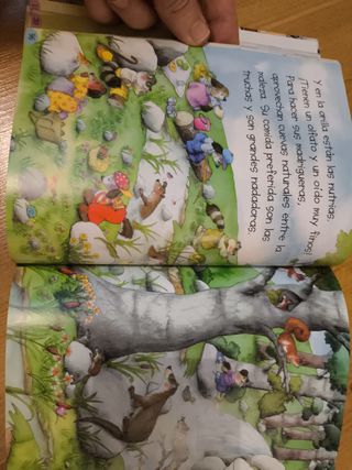 Fábulas e historias de animales (Spanish Edition)