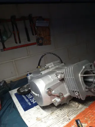 Se cambia Pitbike 125