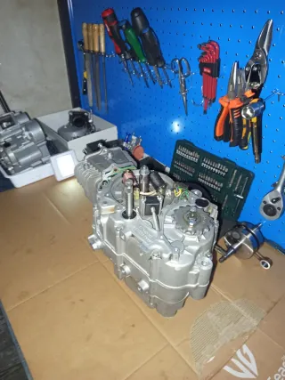 Se cambia Pitbike 125