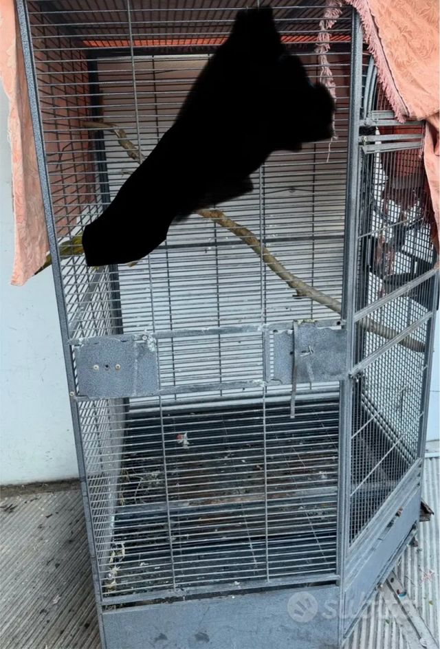 Gabbia per pappagalli