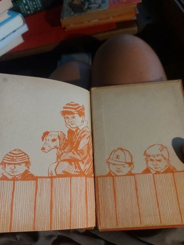 Cuentos.pedagogía. aventuras.