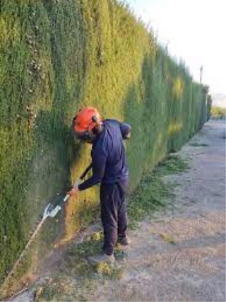 JARDINERO PODA SETOS TALA ARBOLES, DESBROCE PARCEL