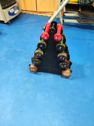 Mancuernas gimnasio con soporte 0.5-2.5 kg