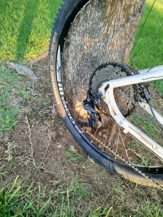 Lee Cougan Revenge 29