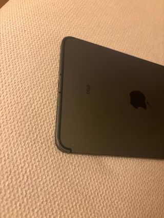 iPad Mini 64GB Gris Espacial Wifi + Celular