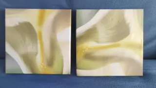 2 Cuadros Abstractos Florales
30x30cm