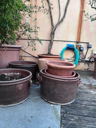 Macetas Grandes de Terracota