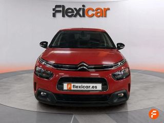 Citroën C4 Cactus PureTech 81KW (110CV) S&S EAT6 Feel