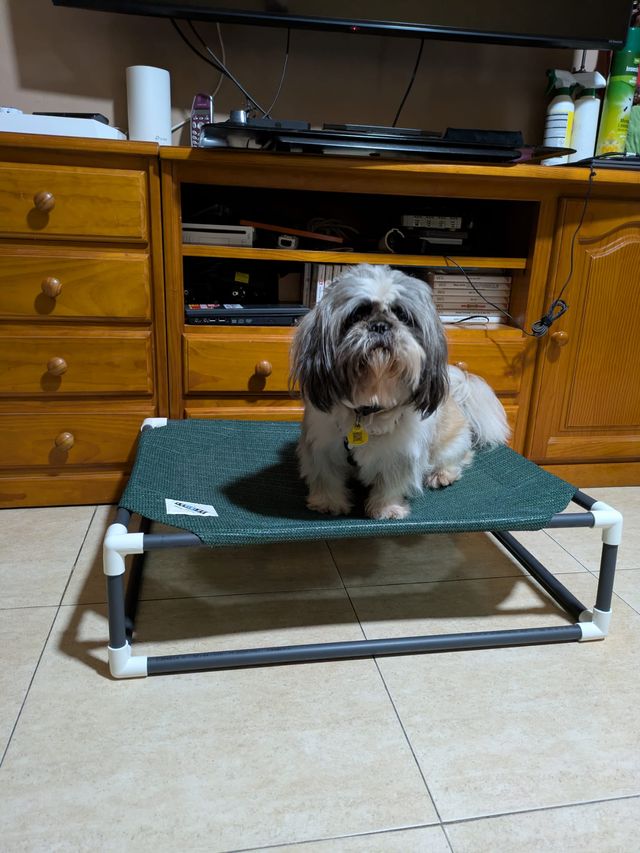 Cama para perro/gato elevada