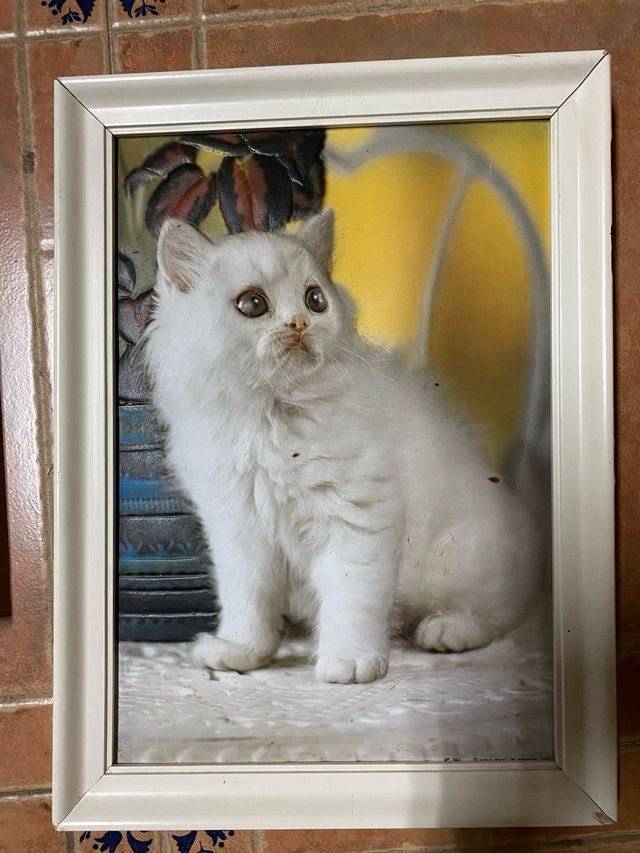 Cuadros variados en 3D 