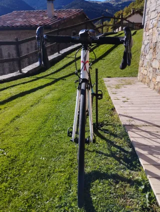 Bici carretera carbono WilierTrestina Izoard