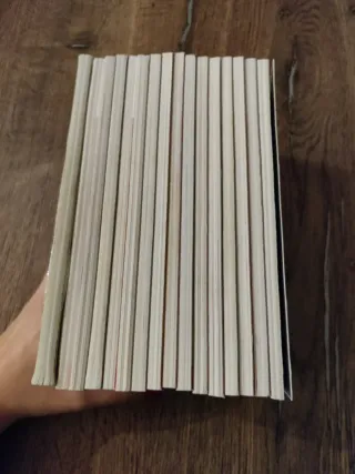 Colección de libros Junie B. Jones