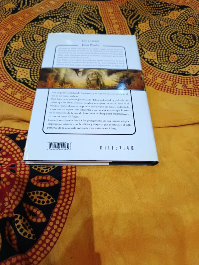 En llamas (Spanish Edition)