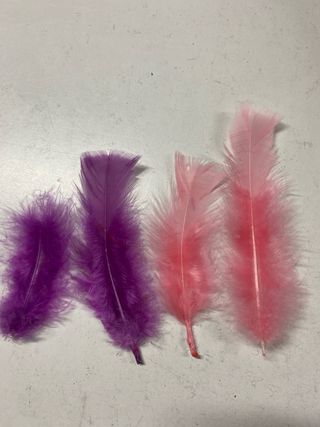 Plumones decorativos colores surtidos