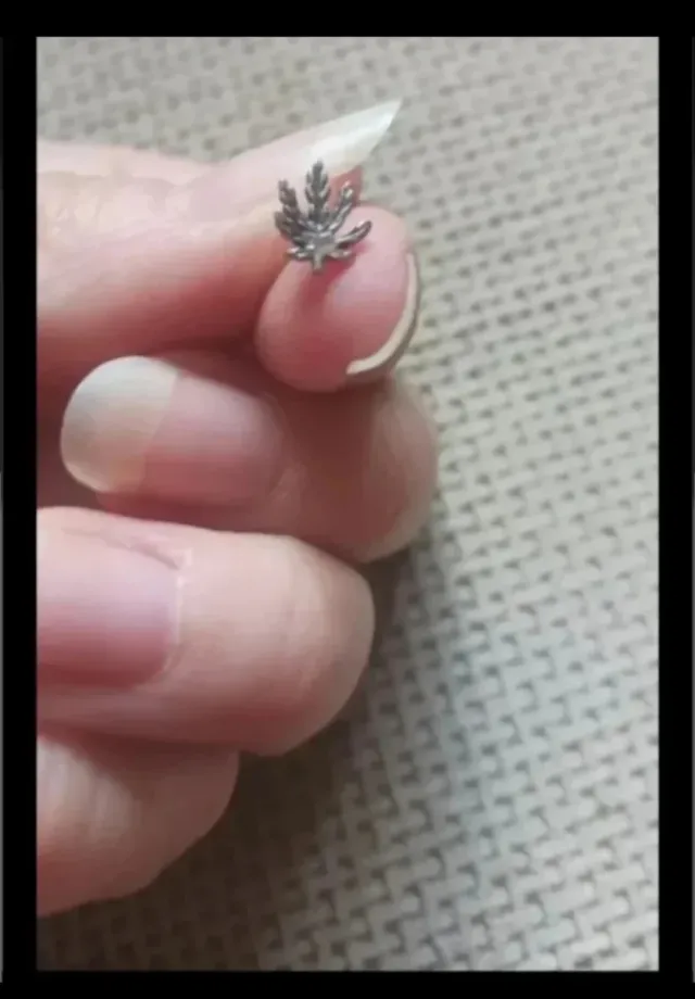 Pendiente hoja plata