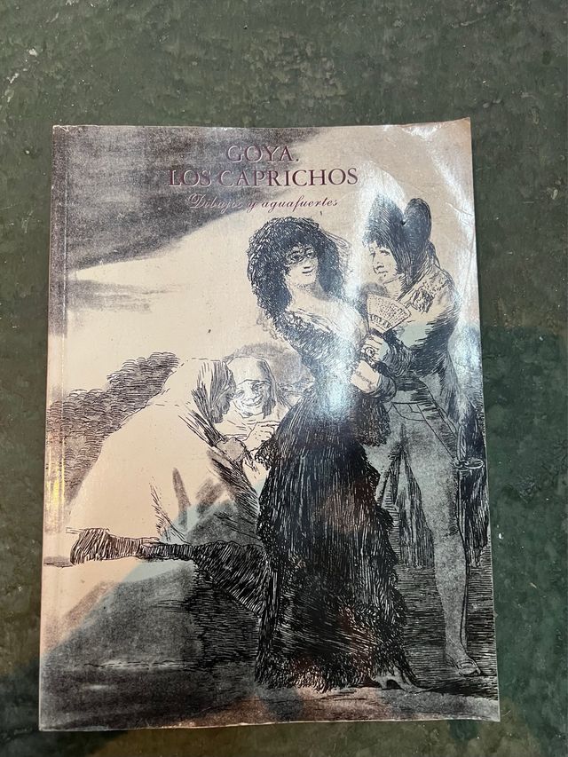 libro De Goya y sus productos,dibujos y aguafuerte