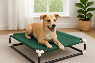 Cama elevada para perro/gato