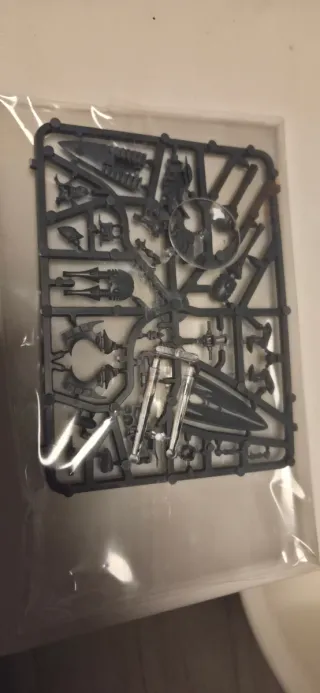 Jinete del Viento Eldar 1x