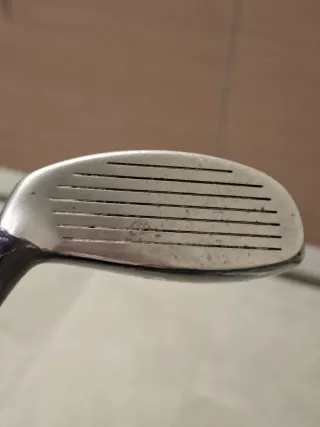 Híbrido Inesis Canaveral 4 22º.