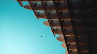 Fotógrafo o videógrafo, con dron