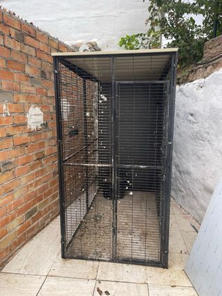 Jaula de hierro para loro exterior