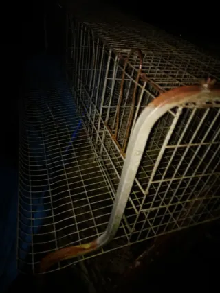 Jaula para gallinas