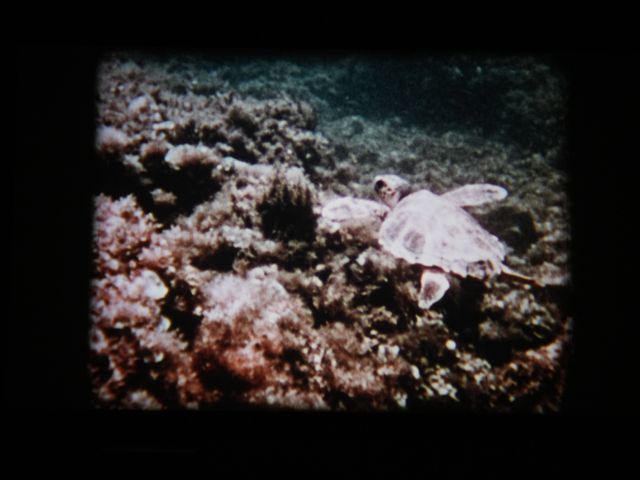 REPORTAJES PELICULA 16MM - EL AGUA Y LO QUE HACE