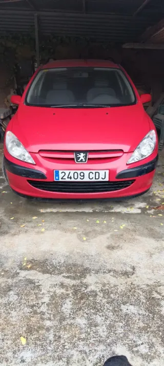 Peugeot 307 2005