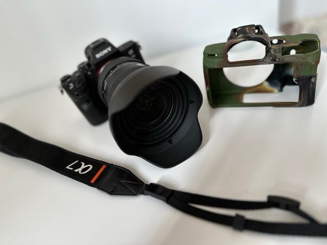 Sony A7 III + Sigma 24-70mm f/2.8 DG DN