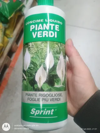 Sprint Piante Rigogliose, Foglie Più Verdi