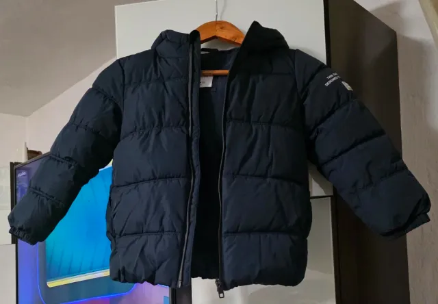 Cazadora acolchada niño azul marino