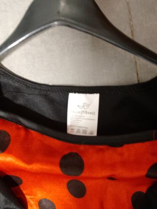 Disfraz niña mariquita