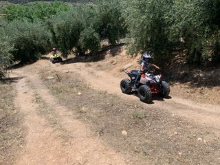 Quad IMR 110cc 4t con marcha atrás