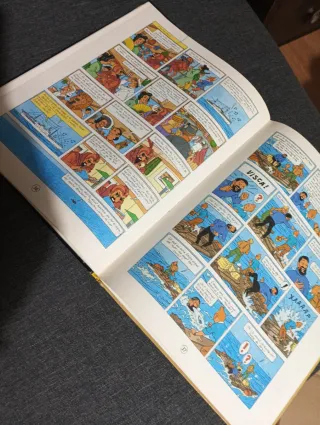 Tintín Stoc de coc (català) 5a edición