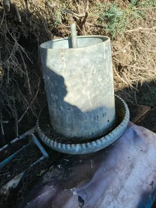 Artículos de gallinas