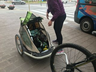 Remolque de bicicleta para mascotas.