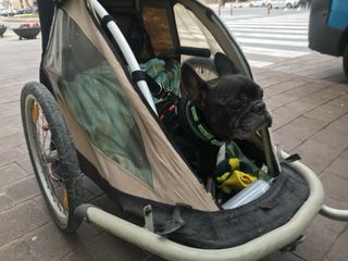 Remolque de bicicleta para mascotas.