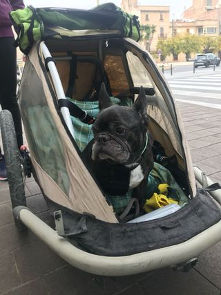 Remolque de bicicleta para mascotas.