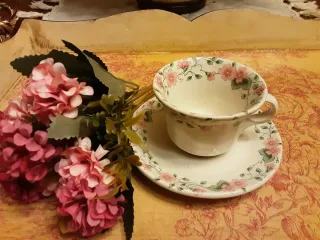 Taza y plato Cartuja de Sevilla Antiguo