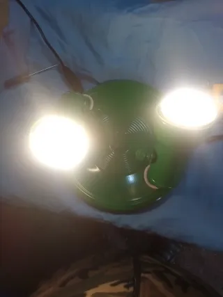 Lámpara de techo verde 2 focos