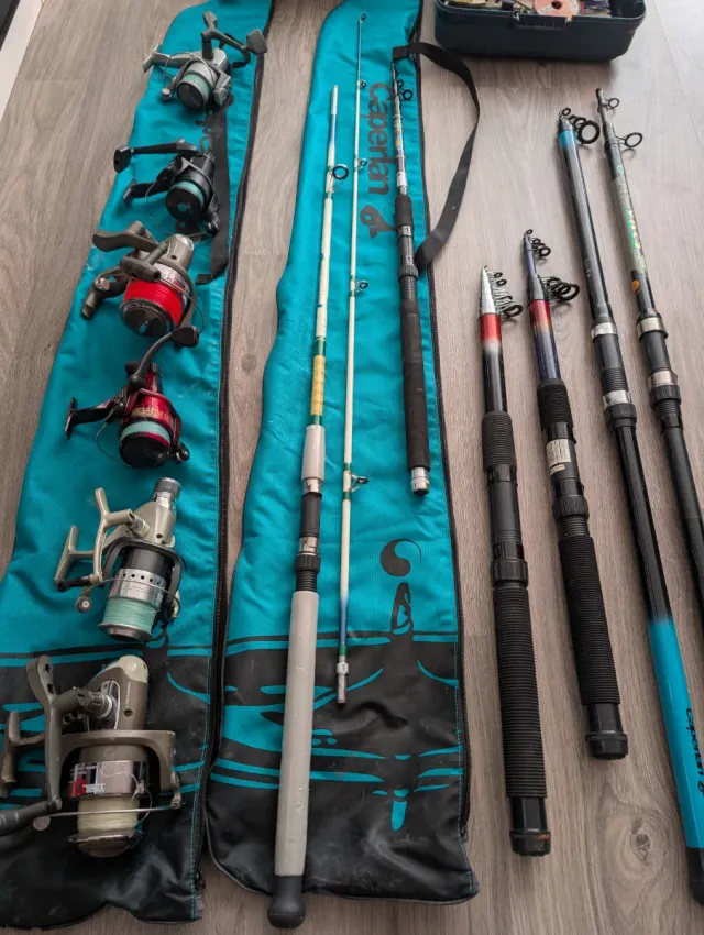 Lote de pesca: cañas, carretes y accesorios