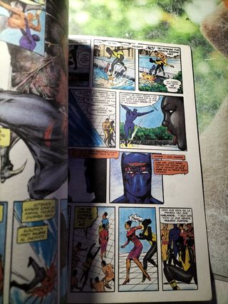 Pantera Negra: la presa de la pantera, coleccion