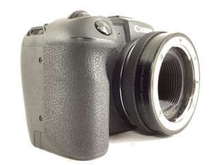 camara digital evil canon eos r